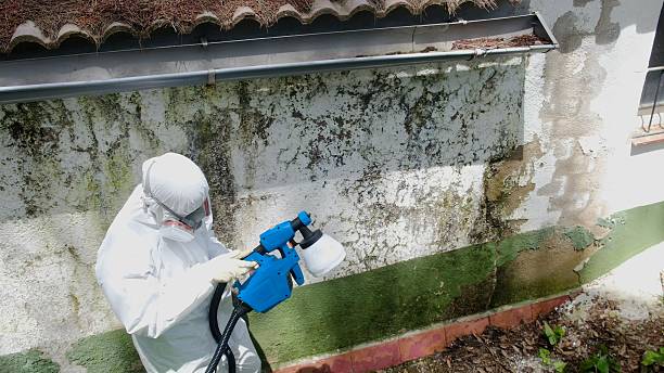 Top rated local Crawl Space Mold Remediation specialists in Sadsburyville, PA